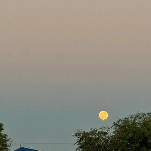 Meet your Posher, Stephen